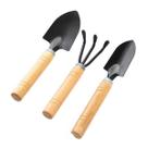 Mini Kit Jardinagem para Vasos e plantas domésticas