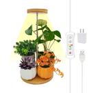Mini LED Plant Grow Light Yadoker Bamboo para plantas de interior