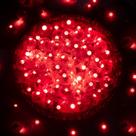 Mini luzes de balão LED vermelhas ZGWJ 50PCS para festa