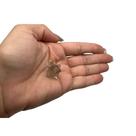 MINI MERKABÁ QUARTZO FUMÊ (1 a 2)cm