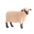 Mini mobília simulada do modelo animal das aves domésticas da exploração agrícola para criar uma atmosfera da exploração agrícola