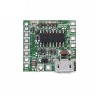 Mini modulo amplificador digital pam8403 micro usb 3w cl d