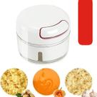 Mini Multiprocessador Triturador Manual 2 Lâminas Inox Alho, legumes e carnes