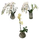 Mini Orquidea Phalaenopsis Cascata Alba No Vaso De Vidro