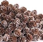 Mini pinhas Deloky, 700 peças, decoração em madeira natural de 2,5 cm