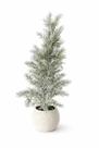 Mini Pinheiro de Natal Nevado Base Trançada 55cm Merita Mini Pinheiro de Natal Nevado Base Trançada 55cm Merita