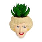 Mini plantador Toynk The Golden Girls Rose Ceramic com suculenta