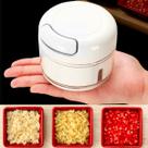 Mini Processador Alimentos Manual Plástico 2 Laminas 200ml