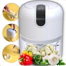 Mini Processador Alimentos Moedor Elétrico Alho Sem Fio Mini Processador Alimentos Moedor Elétrico Alho Sem Fio