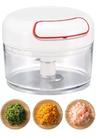 Mini Processador Manual de Alimentos Triturador Alho 170ml Mini Processador Manual de Alimentos Triturador Alho 170ml