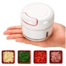 Mini Processador Triturador De Alho Premium 170ml Manua