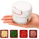 Mini processador triturador manual de alimentos 2 laminas aço inox moedor alho