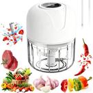Mini Processador Triturador sem Fio 250ML para Legumes Alho e Gengibre