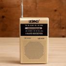 Mini Rádio Portátil AM FM Lelong Le650 Com Fone De Ouvido Na cor Dourada ou Preta