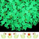 Mini Resin Ducks Tarpop 150 unidades de decoração paisagística luminosa Mini Resin Ducks Tarpop 150 unidades de decoração paisagística luminosa