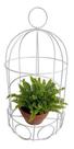 Mini Samambaia Com Suporte Modelo Gaiola Planta Natural