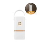 Mini Secadora Elétrica 110V para Uso Doméstico