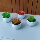 Mini Suculenta Artificial em Vaso de Plástico Redondo
