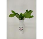 Mini vaso alto BONDADE Mini vaso alto BONDADE