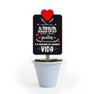 Mini vaso lettering amor - Fina Ideia Mini vaso lettering amor - Fina Ideia