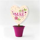 Mini vaso mãe de Coração 00004961
