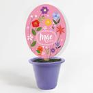 Mini vaso mãe flores 00004959