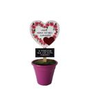 Mini vaso Você mora - Fina Ideia Mini vaso Você mora - Fina Ideia