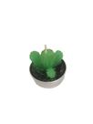 Mini Vela Verde Cacto