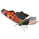 Miniatura de montar metal earth borboleta eastern comma
