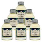 Miniatura Drink Dry Martini APTK Spirits 100ml 6 Unidades