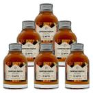 Miniatura Drink Espresso Martini APTK Spirits 100ml 6un