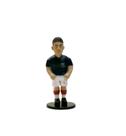 Miniatura Jogadores de Futebol França