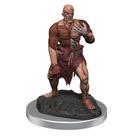 Miniaturas WizKids D&D Nolzur's Marvelous Flesh Golems x2