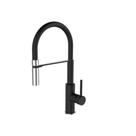 Misturador Monocomando Gourmet para Cozinha c/ Flexível Black Jiwi - 10645-291AH