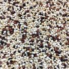 Mix de Quinoa Grãos 1kg Mix de Quinoa Grãos 1kg