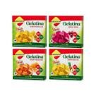 Mix Gelatina Lowçucar Com Stevia Tangerina Maracujá Cereja E Abacaxi 10g Zero Açúcar