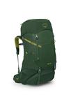 Mochila de mochila Osprey Ace 38L Kids Green Canopy