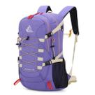 Mochila de Senderismo Bseash 40L Impermeable con Cubierta para Lluvia Violeta Mochila de Senderismo Bseash 40L Impermeable con Cubierta para Lluvia Violeta