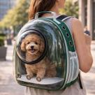 Mochila de Transporte Pet Visor Bolha Panorâmico Lovely Vibe