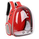 Mochila Pet De Transporte Visão 360 Panoramica Gato Cão Preto