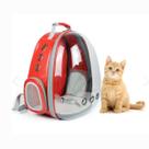 Mochila Pet Visão Panorâmica Segurança Ventilação Conforto