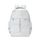 Mochila samsonite ignition citadel arctic grey