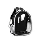 Mochila Transparente Para Filhotes Gato Cão Bolsa Espacial