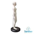 Modelo anatômico de acupuntura feminino