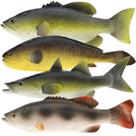 Modelo de decoração de ornamento de peixe artificial Gresorth 4 PCS