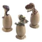 Modelo de dinossauro, meia eclosão, concha quebrada com base, 3 peças