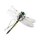 Modelo De Inseto Simulado Repelente De Mosquitos Em Forma De Libélula De 12CM Para Jardim, Ornamento Modelo De Inseto Simulado Repelente De Mosquitos Em Forma De Libélula De 12CM Para Jardim, Ornamento
