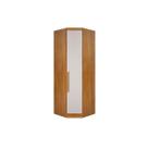 Modulado de Quarto Closet de Canto Oblíquo Rizon/Linea c/ 1 Porta Cumaru/Fendi 25 - Novo Horizonte