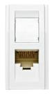 Módulo 1 Tom RJ45 Cat5e Branco Iriel
