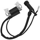 Módulo Bobina Ignição Motor Gasolina 8HP 9HP Supreme Parts